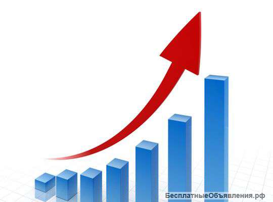 Продвижение сайтов в поисковых сетях (SEO)