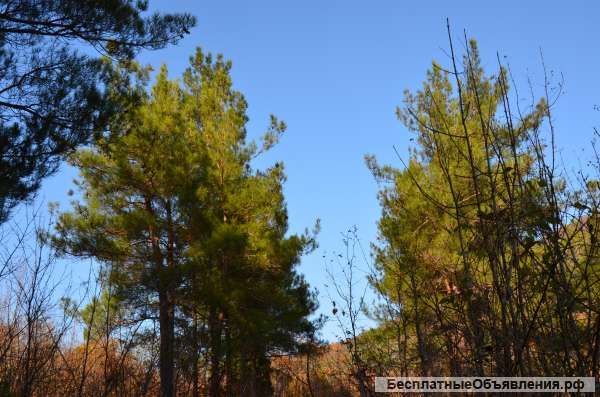 Участок под жилой дом