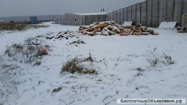 Производство, нужен компаньон