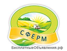 Фасовщики овощей