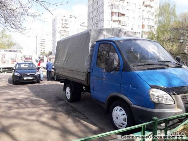 Газель