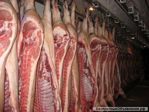 Мясо оптом от производителя. НСО