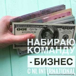 Менеджер компании nl