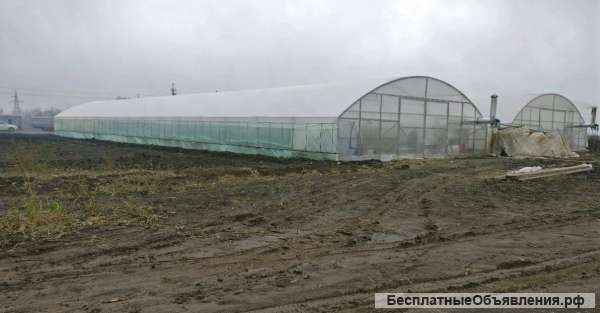 Тепличное хозяйство 6 Га