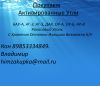 Купим дорого Сорбенты и Нефтесорбенты
