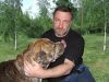 Дистанционное ведение судебного процесса