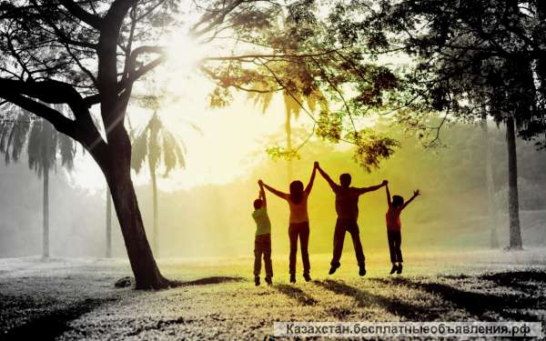 Партнеры в бизнес