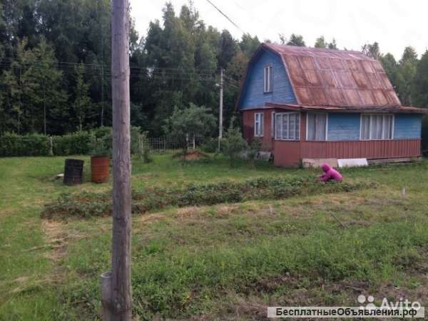 Участок с летним домом