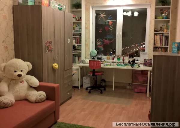 3-х комнатная квартира в Академическом