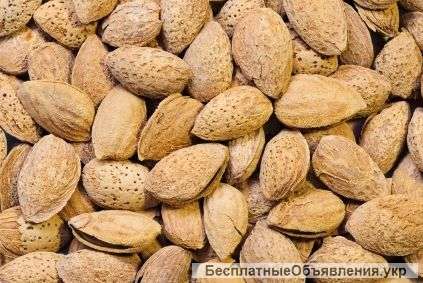 Сладкий миндаль в скорлупе (урожай 2017 года)