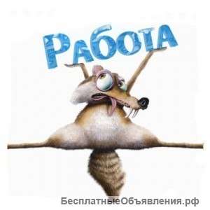 Исполнительный сотрудник