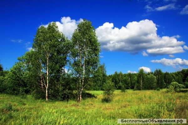 Сумароково, Гридьково, 12 соток 740 000 руб