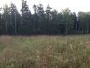 Участок 10 соток