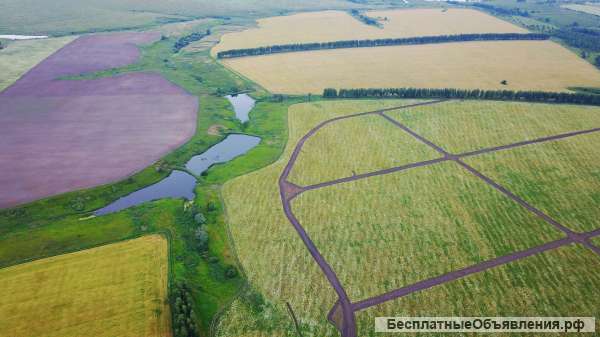 Зеленая Миля, Спицино, 75 соток 530 000 руб