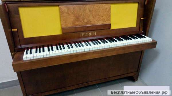 Пинино «Фойрих»