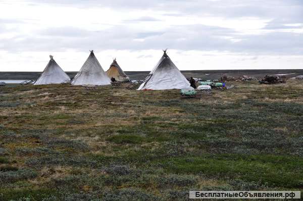 Помогите любой возможностью