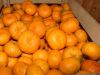 Мандарины Оптом со склада