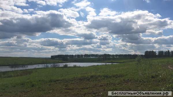 Зеленая Миля, Мокрый корь, 100 соток 750 000 руб