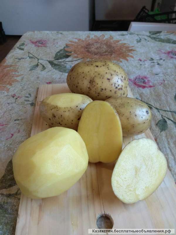 Картофель семенной, продовольственный