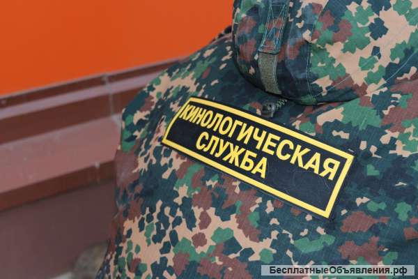 Кинолог с проживанием на кинологическом центре