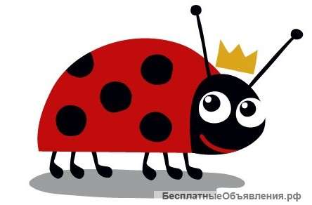 Требуется преподаватель ИЗО