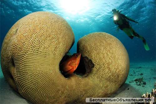Яркий отдых на Красном море - Эйлат