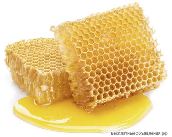 Мед лучшего качества по лучшей цене