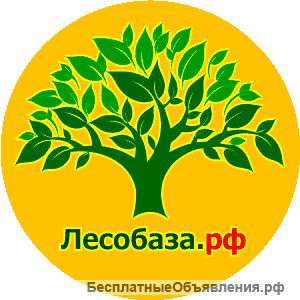 Лиственница