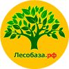 Лиственница