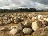 Валун от 100 до 500 - 1500 руб