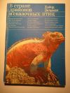 В стране драконов и сказочных птиц