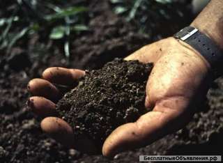 Чернозем плодородный