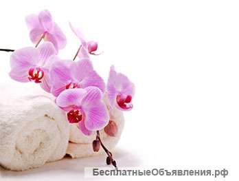 Открой спа салон по франшизе Spa Sense
