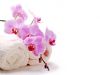 Открой спа салон по франшизе Spa Sense