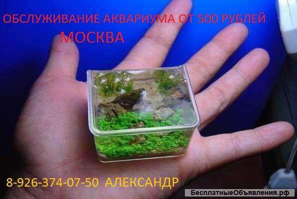 Обслуживание аквариумов в москве