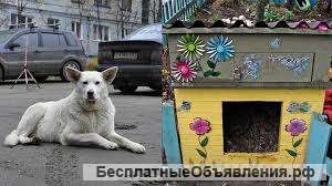 Сдам комнату на длительный срок-хозяин