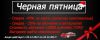 "Черная пятница" в учебном центре и автошколе "Статус"