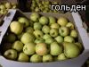Ростовские яблоки от производителя