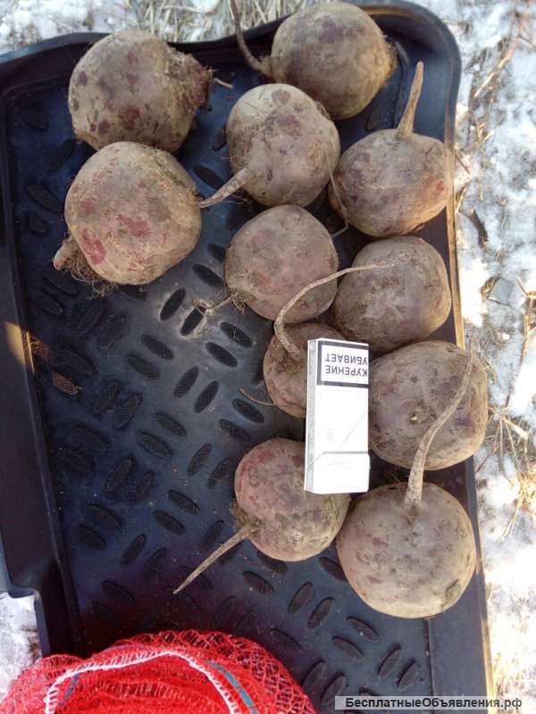 Морковь.свекла.картофель