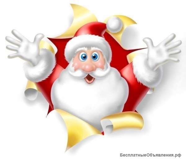 Дед Мороз и Снегурочка