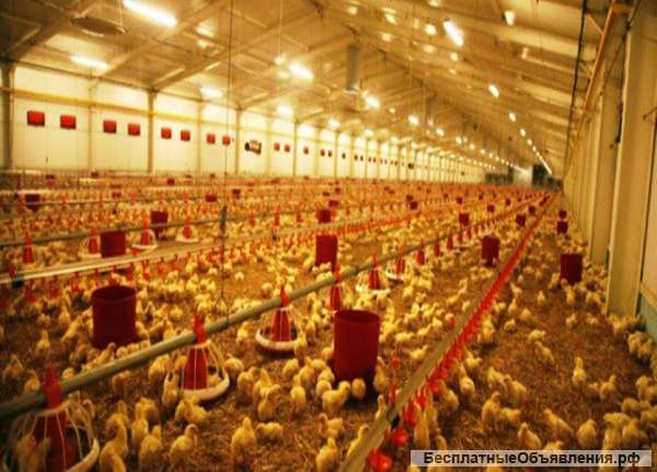 Высококвалифицированные электромонтажные услуги