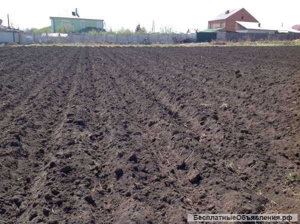 Земля, подготовленная к посадке картофеля, количество сот.по желанию