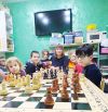 Тренер по шахматам