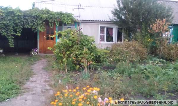 Дом продаю в Воронежской обл