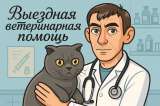Выездная ветеринарная клиника Доктор-Вет