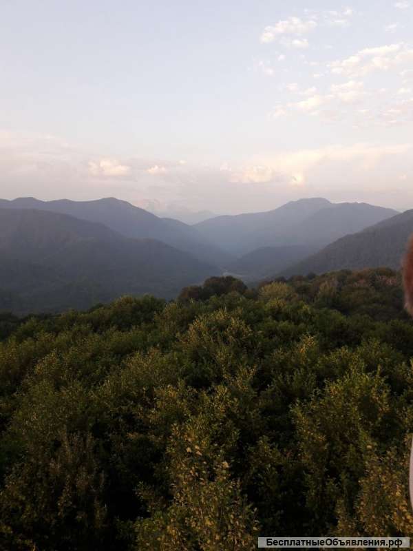 Помощь в реализации с/х продукции