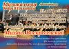 Музыкальные вечера в Гранатном