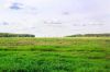Просторный и ухоженный участок 10 соток