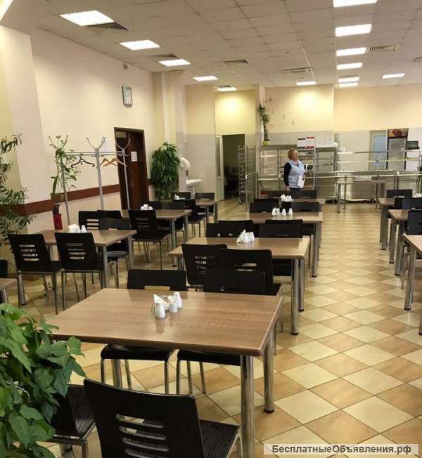 Сдам действующее кафе столовую м. Кунцевская, 295 м. кв.