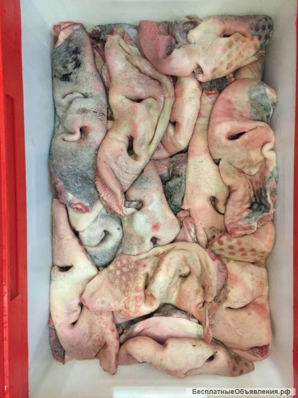 Мясная обрезь для собак (корм)